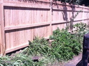 A walpole design fence in Westport