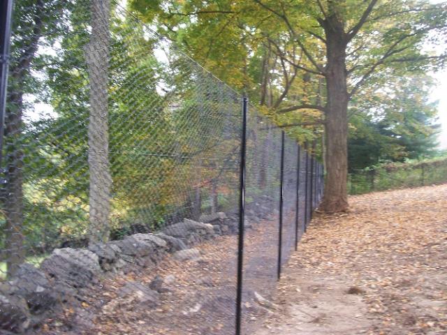 Deer Fences 8