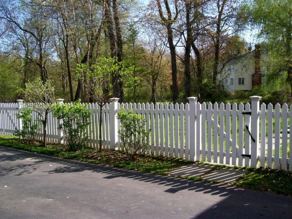 Picket Fences 18